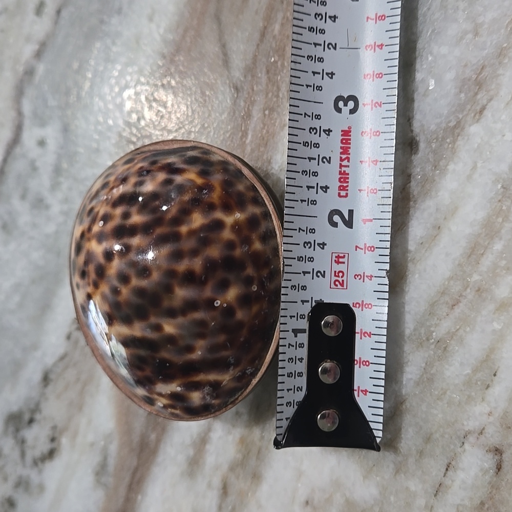 Shell Trinket Box - Picture 6 of 6